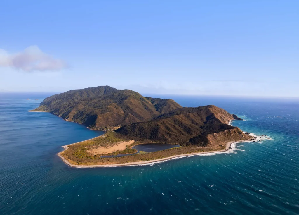 Explore Walkington experiences from guided day hikes to multi-day walking escapes across Wellington, Kāpiti & Wairarapa