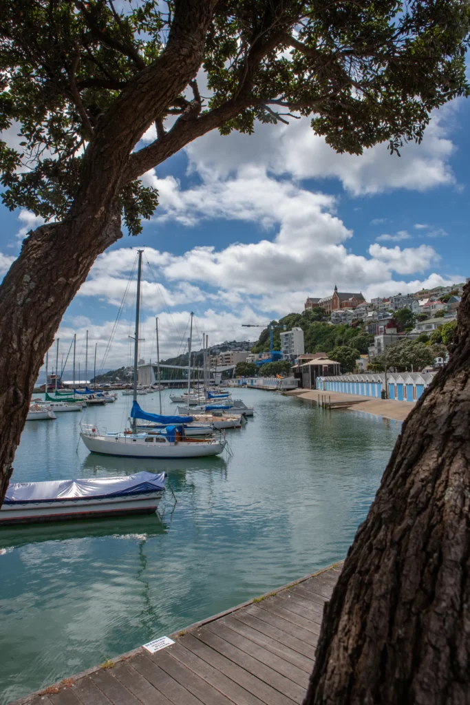 Guided City & Climb Walks | Explore Wellington with Walkington