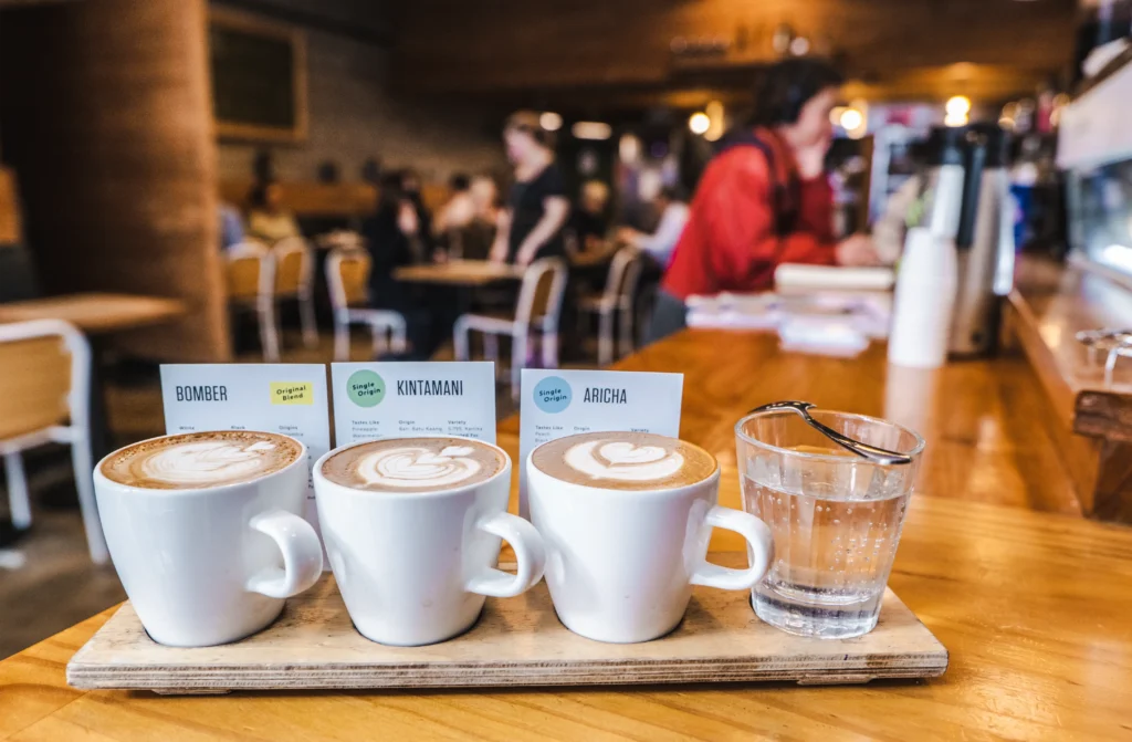 Guided City & Climb Walks | Explore Wellington with Walkington