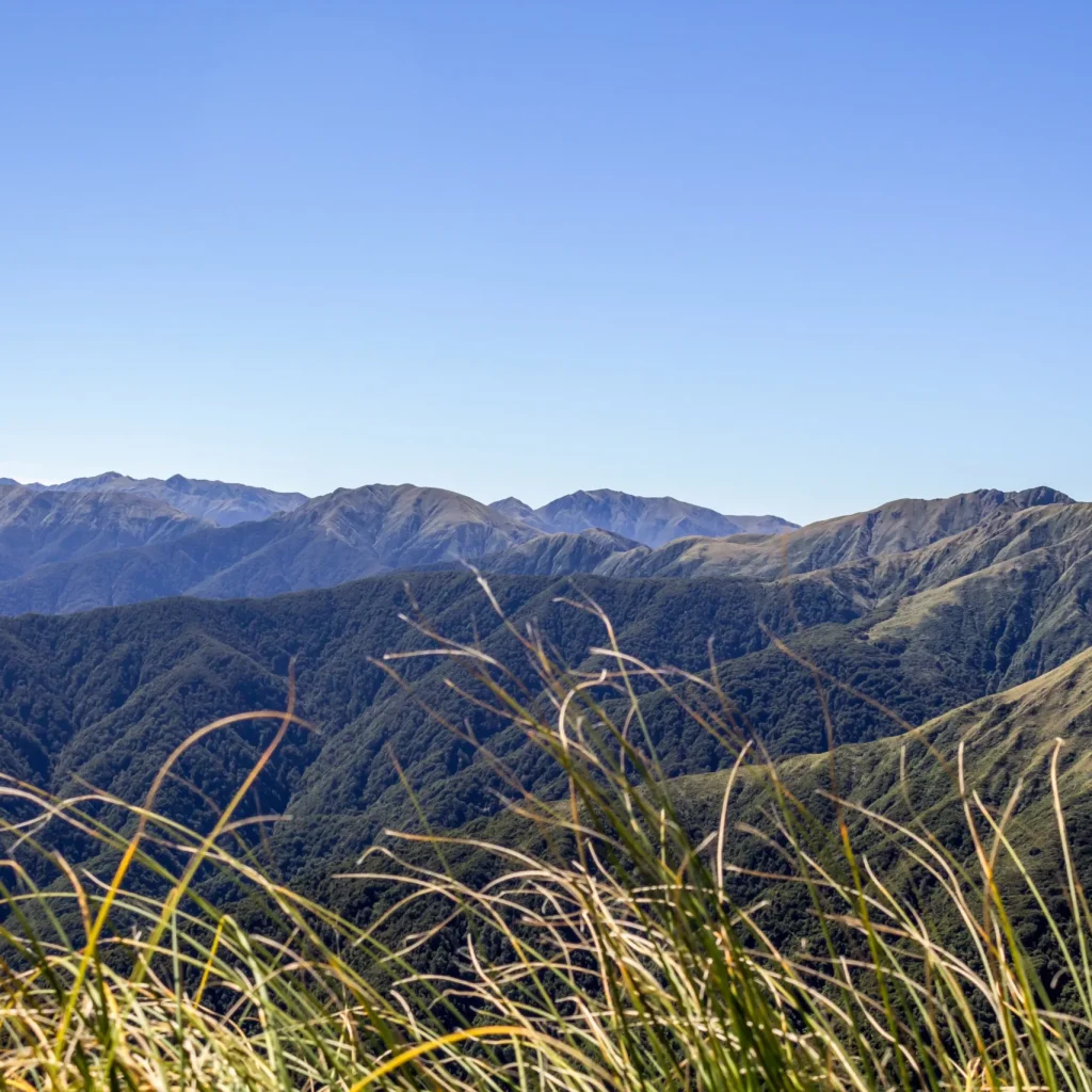 Explore Walkington from guided day hikes to multi-day walking escapes across Wellington, Kāpiti & Wairarapa